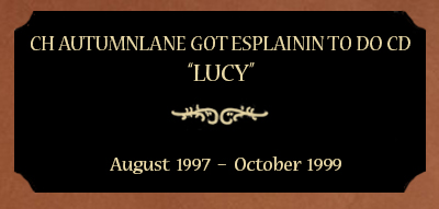 Plaque for Ch Autumnlane Got Esplainin To Do CD; “Lucy”, August 1997 – October 1999