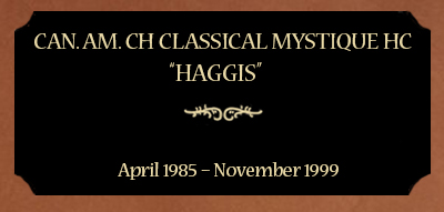 Plaque for Can. Am. CH Classical Mystique HC; “Haggis”, April 1985 – November 1999