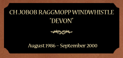 Plaque for Ch Jobob Raggmopp Windwhistle; “Devon”, August 1986 – September 2000