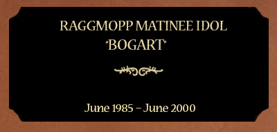 Plaque for Raggmopp Matinee Idol; “Bogart”, June 1985 – June 2000