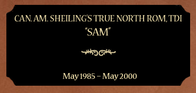 Plaque for Can. Am. Sheiling’s True North ROM, TDI; “Sam” May 1985 – May 2000