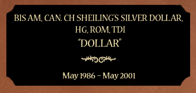 Plaque for BIS Am, Can. CH Sheiling’s Silver Dollar, HG, ROM, TDI; “Dollar” May 1986 – May 2001