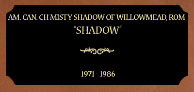 Plaque for Am. Can. Ch Misty Shadow of Willowmead, ROM; “Shadow”, 1971 - 1986