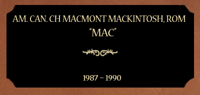 Plaque for Am. Can. CH Macmont MacKintosh, ROM, “Mac”, 1987 – 1990