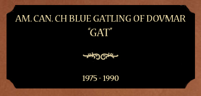 Plaque for Am. Can. Ch Blue Gatling of Dovmar; “Gat”, 1975 - 1990
