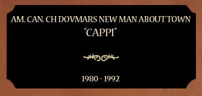 Plaque for Am. Can. Ch Dovmars New Man About Town; “Cappi”, 1980 - 1992