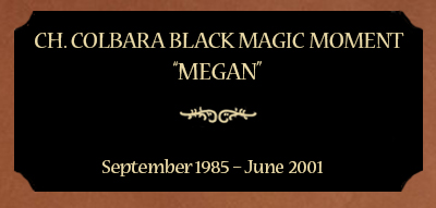 Plaque for Ch. Colbara Black Magic Moment; “Megan”, September 1985 – June 2001