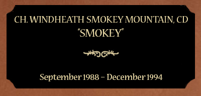 Plaque for Ch. Windheath Smokey Mountain, CD; “Smokey”, September 1988 – December 1994