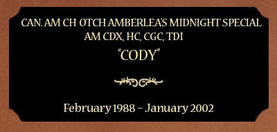 Plaque for Can. Am Ch OTCH Amberlea’s Midnight Special, Am CDX, HC, CGC, TDI; “Cody”, February 1988 – January 2002
