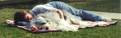 Toby and Julie laying on a blanket on the grass