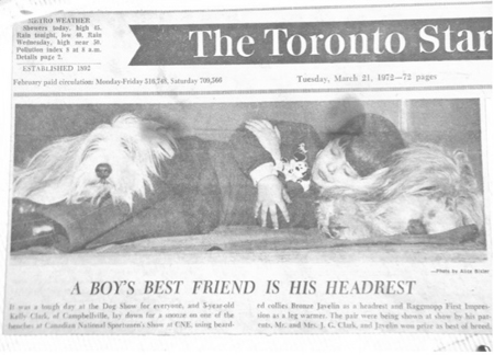 Photo from the Toronto Star of a boy resting th his head on a beardie and another beardie at his feet at a dog show.